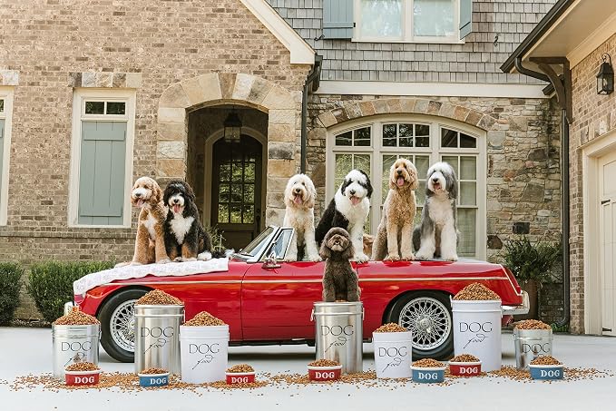 Harry Barker Pet Food Storage Collection, Classic Silver Food Storage - Image 5