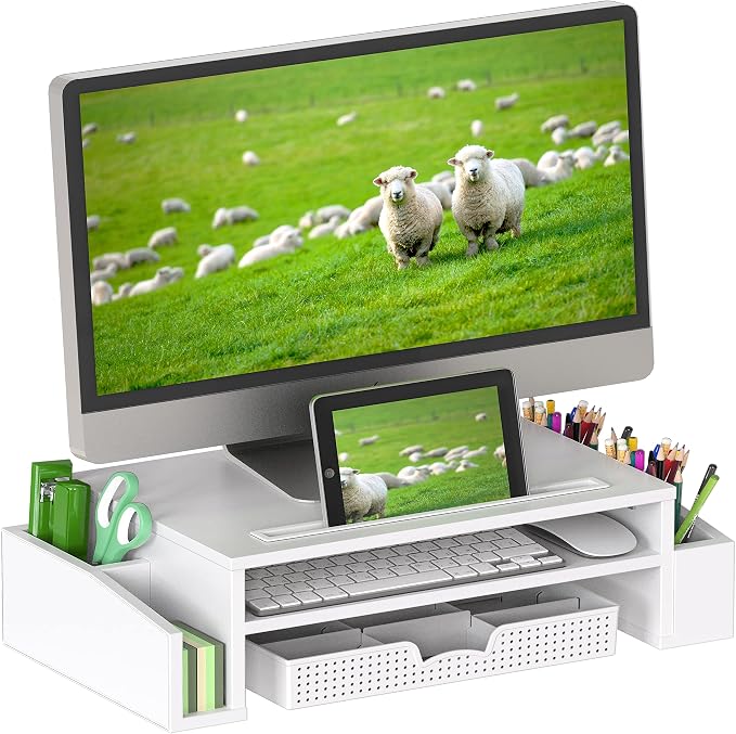 Simple Houseware Desk Monitor Stand Riser by SimpleHouseware