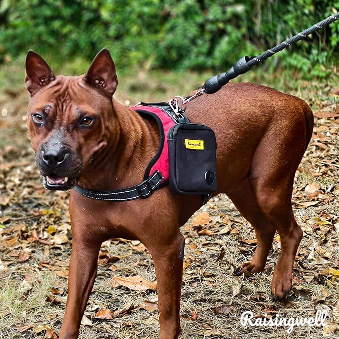 Dog Treat Pouch for Pet Walking and Training - Image 7